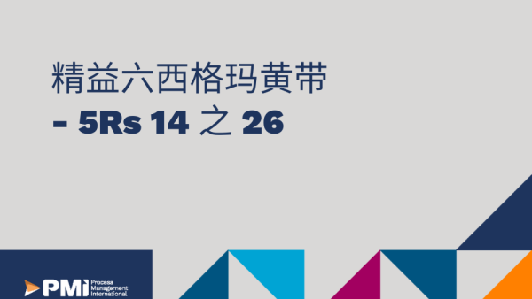 Á≤æÁõäÂÖ≠Ë•øÊ†ºÁéõÈªÑÂ∏¶ - 5Rs 14 ‰πã 26