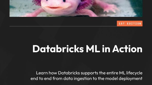 Databricks ML in Action
