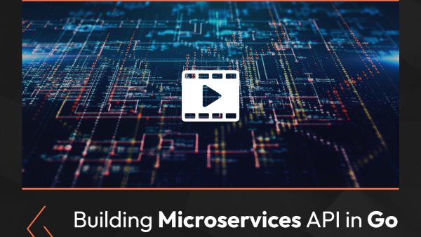 Building Microservices API in Go