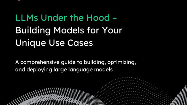 LLMs Under the Hood: Building Models for Your Unique Use Cases