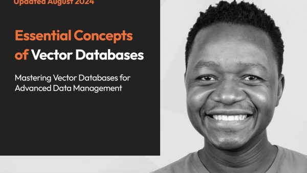 Essential Concepts of Vector Databases