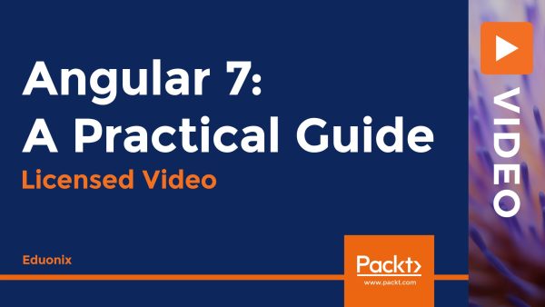 Angular 7: A Practical Guide