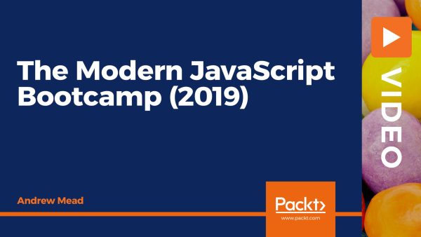 The Modern JavaScript Bootcamp (2019)