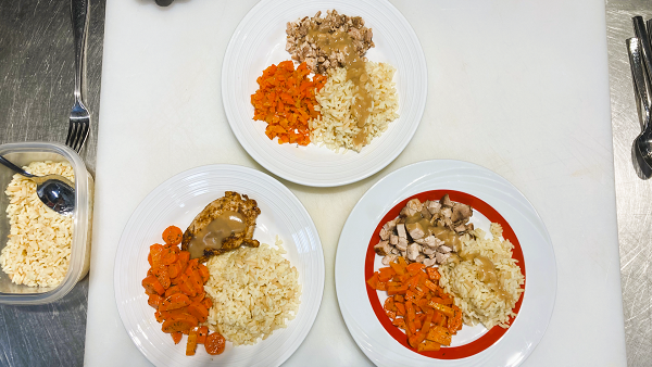 IDDSI Culinary Basics: Chicken, Rice and Carrots - IDDSI Levels EC7, 6 and 5