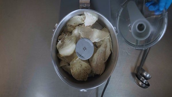 Pineapple Purée Program: How to Purée Chicken