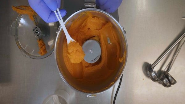 Pineapple Purée Program: How to Purée Carrots