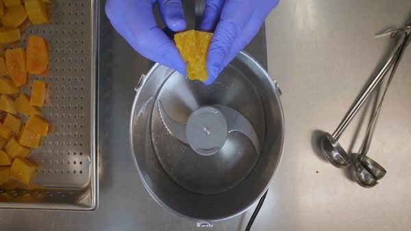 Pineapple Purée Program: How to Purée Butternut Squash