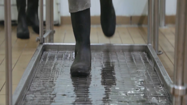 Preventing Slips, Trips, and Falls: Wet and Slippery Surfaces
