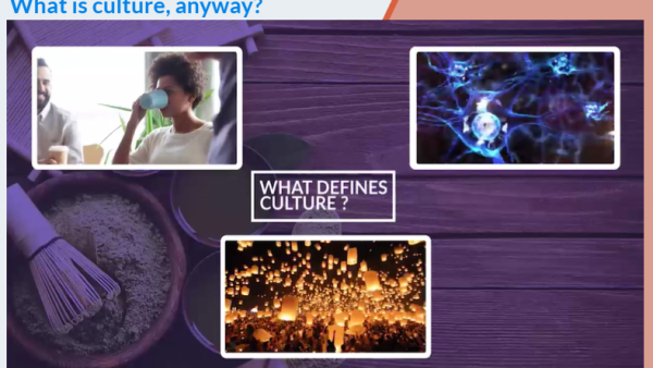 Introduction to Culture