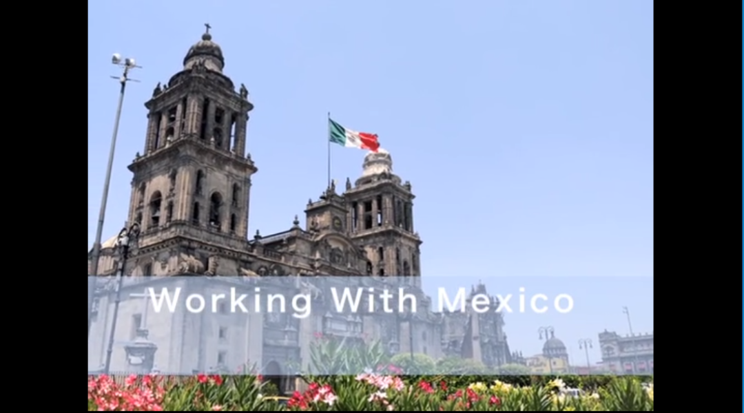 Working With‚Ñ¢ Mexico