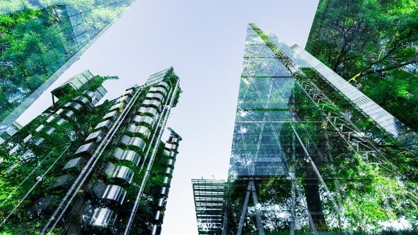 The ESG Framework: Promising Workplace Practices