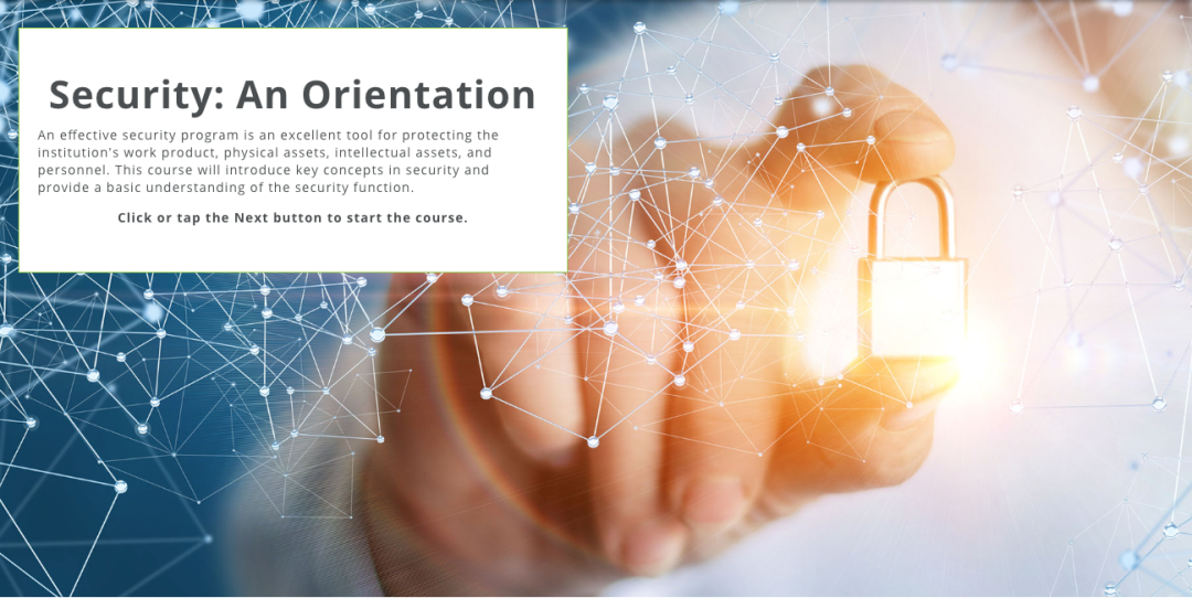 Security: An Orientation