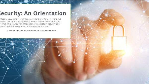 Security: An Orientation