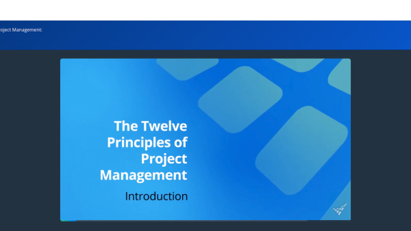 The Twelve Principles of Project Management