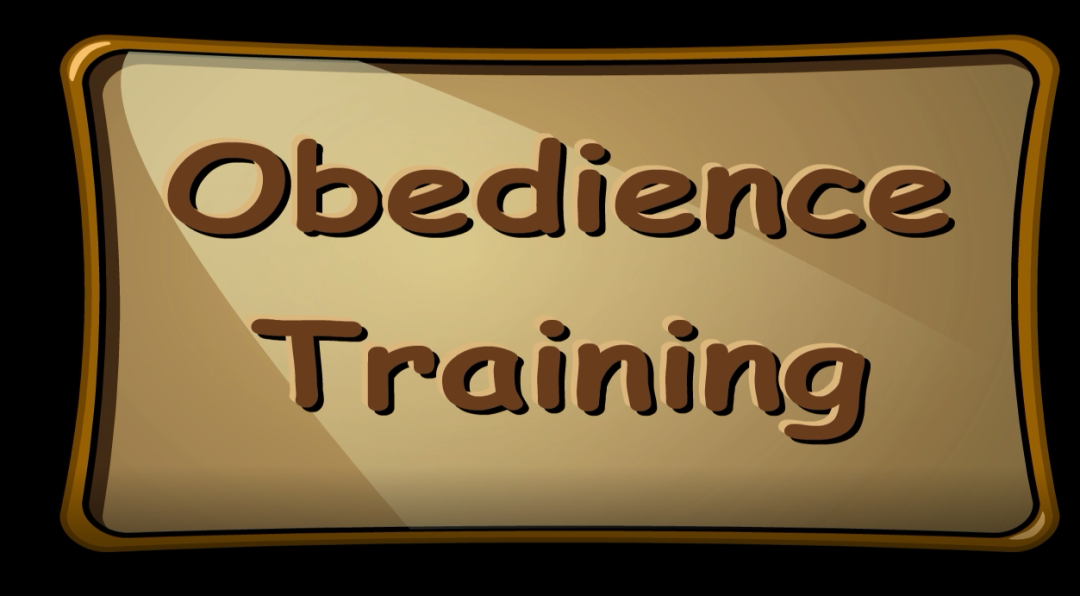 Houndville Business Animation: Valuing Learning Opportunities - Obedience Training
