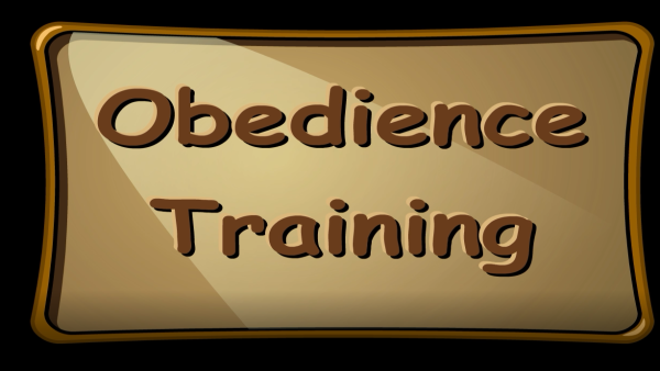 Houndville Business Animation: Valuing Learning Opportunities - Obedience Training