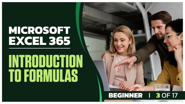 Microsoft Excel 365 for Beginners: Part 03 of 17. Introduction to Formulas