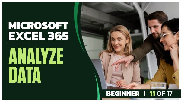 Microsoft Excel 365 for Beginners: Part 11 of 17. Analyze Data