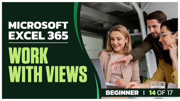 Microsoft Excel 365 for Beginners: Part 14 of 17. Work with Views