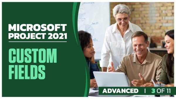 Microsoft Project 2021 Advanced: Part 3 of 11. Custom Fields