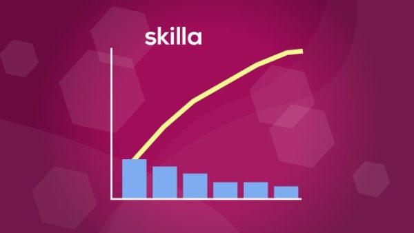 Das Paretodiagramm
