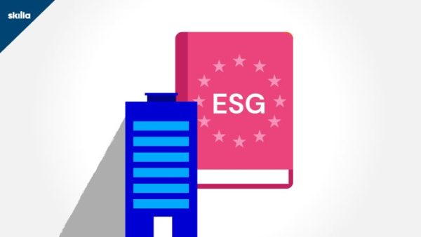 ESG: The Reference Context for Companies