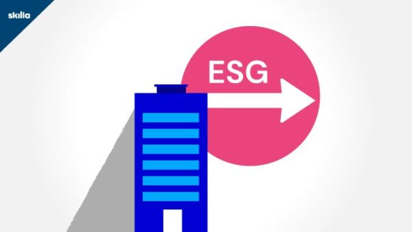 ESG: What Companies Need to Do