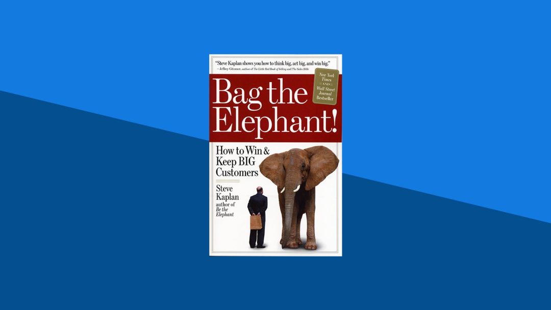 Bag the Elephant!: How to Win and Keep Big Customers | Steve Kaplan