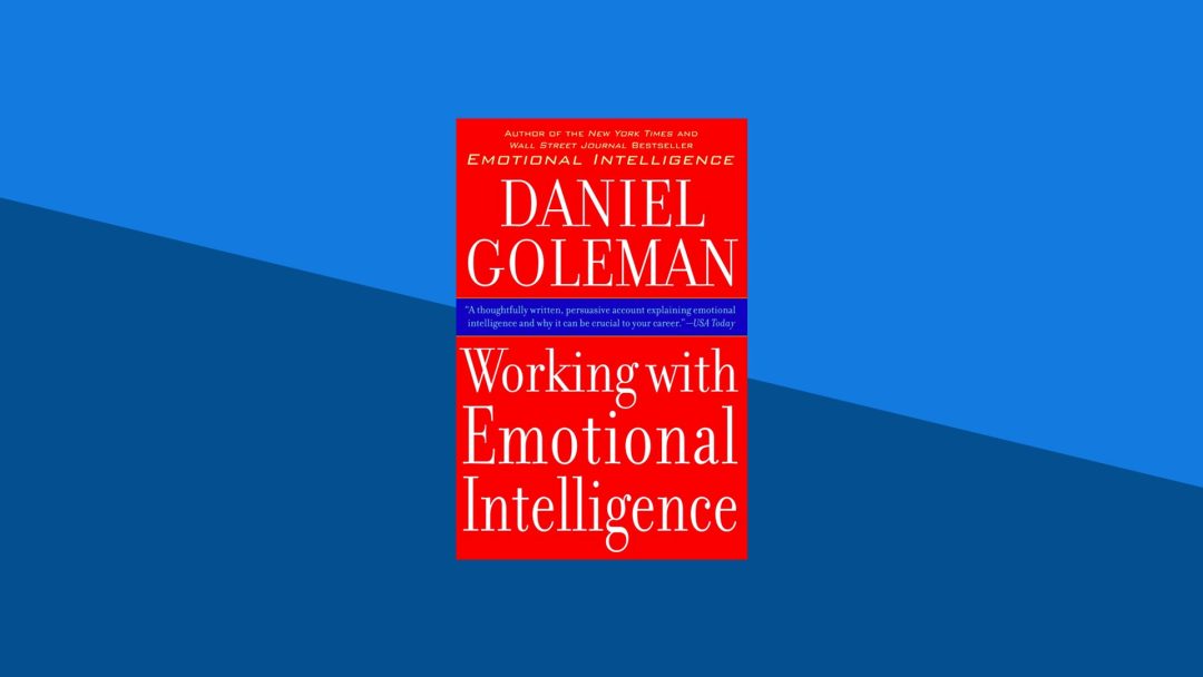 Working With Emotional Intelligence | Daniel Goleman