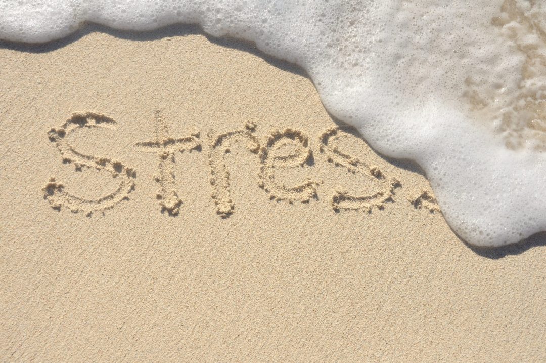 Special Issues in Stress