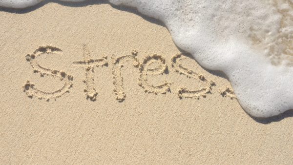 Special Issues in Stress