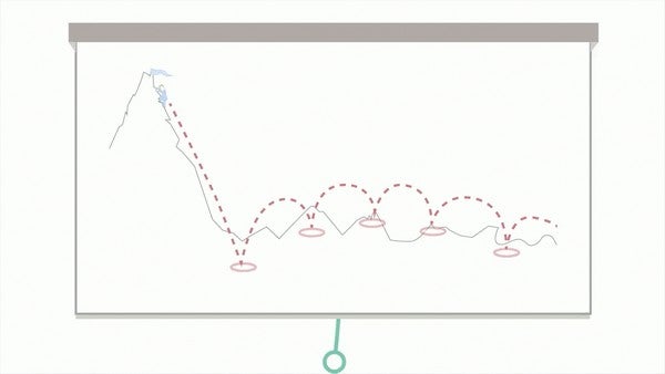 The Roadmap to Success
