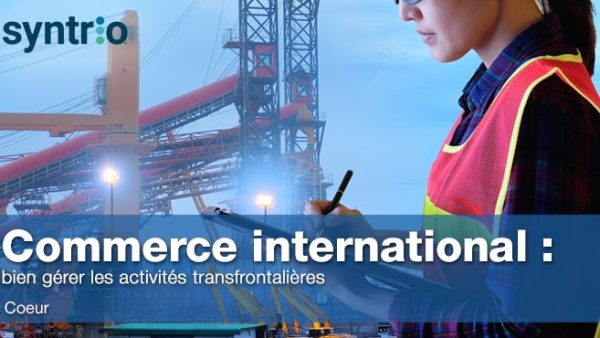 Commerce international : bien gérer les activités transfrontali√®res (Core)