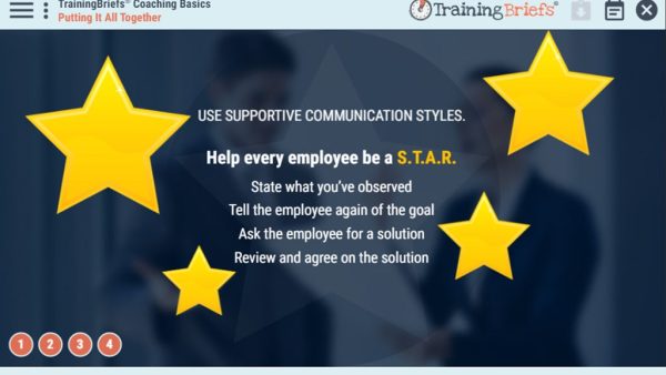 TrainingBriefs¬Æ Coaching Basics