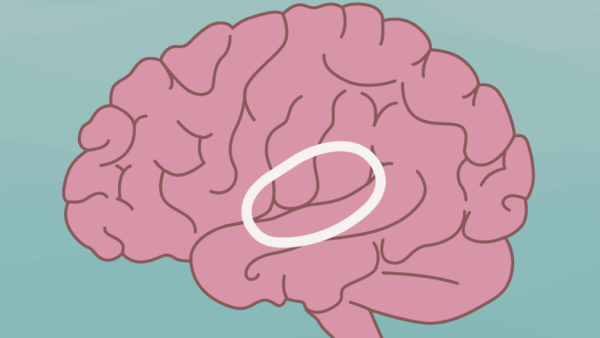 Understanding Trauma