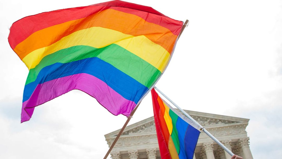 Law School for Everyone: Constitutional Law: Liberty Disputed: Abortion and Gay Rights