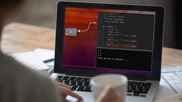 Introduction to C++: Programming Concepts and Applications: Expanding What Your Functions Can Do in C++