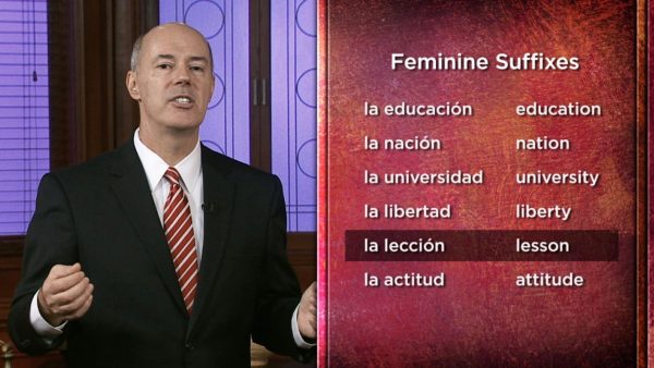 Learning Spanish: Definite Articles and Nouns