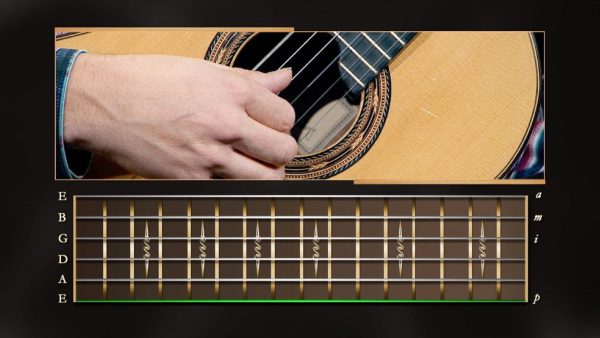Learning to Play Guitar: Planting for Control and Accuracy