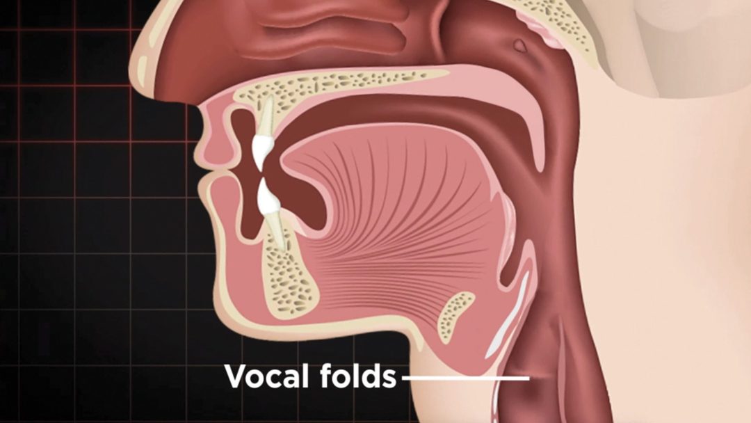 The How to Sing Series: Exploring Vocal Colors
