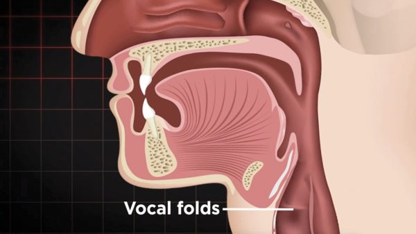 The How to Sing Series: Exploring Vocal Colors