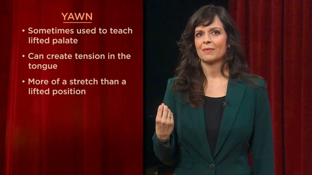 The How to Sing Series: Utilizing the Soft Palate