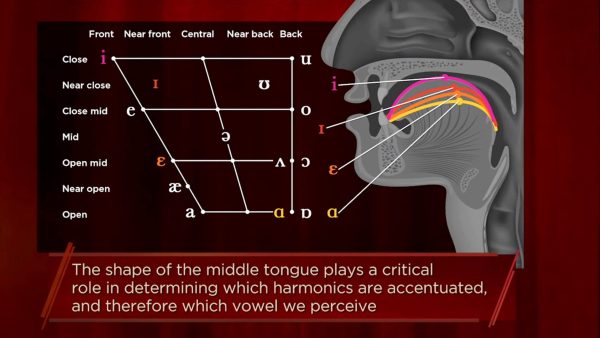 The How to Sing Series: Articulating Vowels