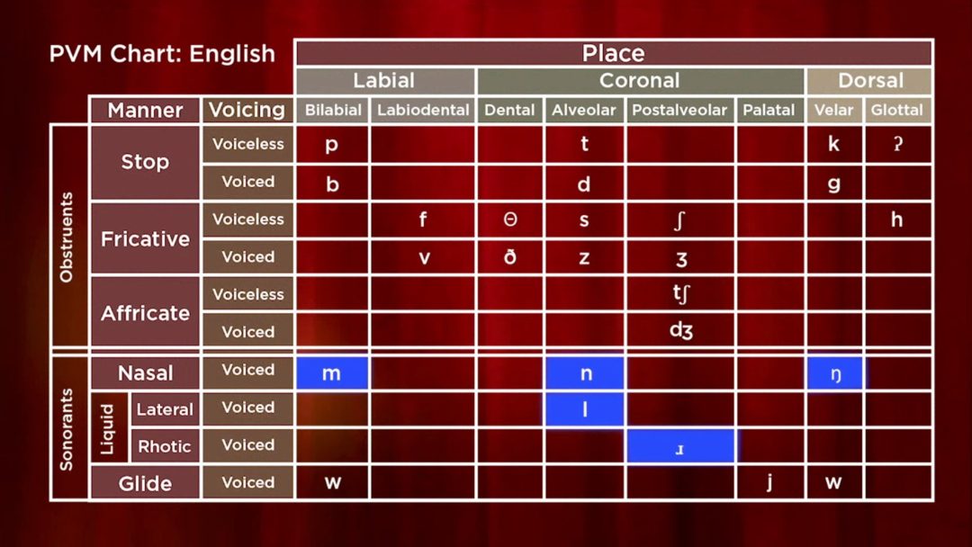 The How to Sing Series: Diction for Singing
