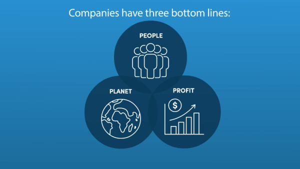 The Triple Bottom Line in Sustainable Thinking