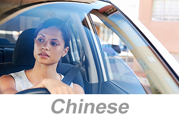 Èò≤Âæ°ÊÄßÈ©æÈ©∂ - Â∞èÂûãËΩ¶