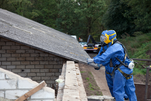 Asbestos Hazards: Workers in the United States (US)