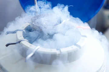 Cryogen Safety