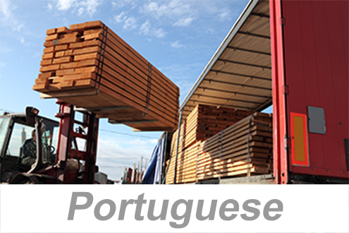 Empilhadeiras Industriais Motorizadas: Parte 01. Classes e Tipos