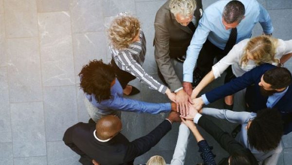 Understanding Diversity and Inclusion
